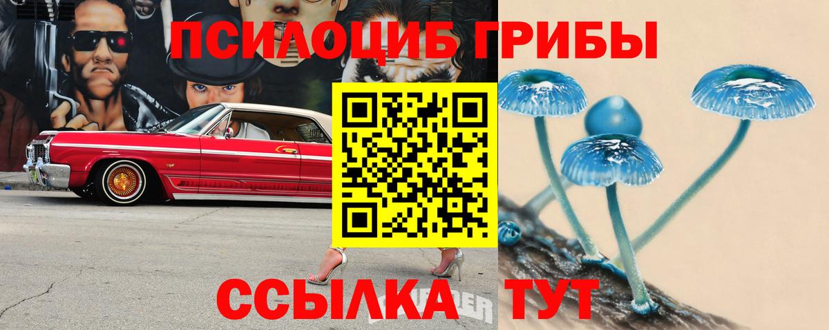 Галлюциногенные грибы Cubensis Джанкой